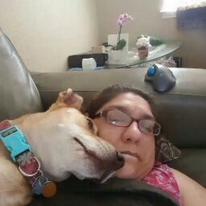 Meet your Posher, Debbie